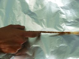 285558_10150265622324901_5732265_n